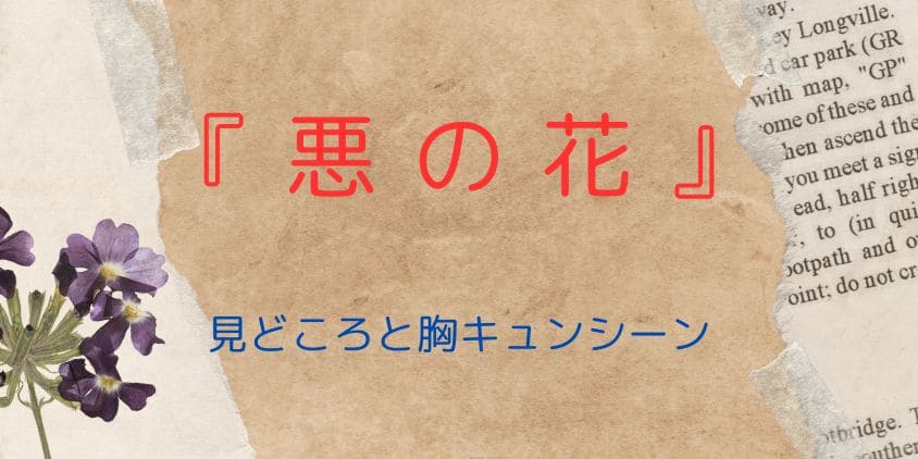 韓国ドラマ『悪の花』が面白い！